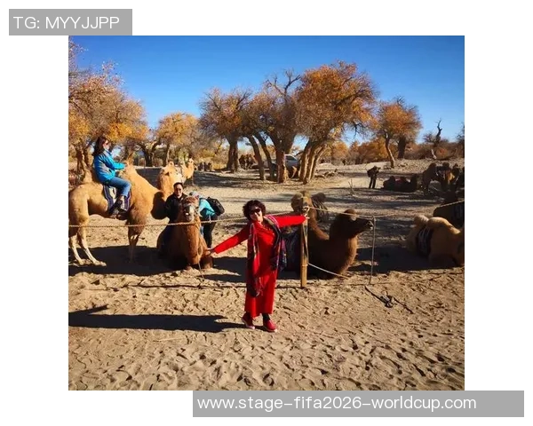 豪门足球风云公会的荣耀与挑战：追逐梦想的绿茵传奇