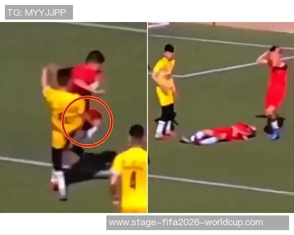 足球场上的悲剧回顾：天下足球惨案引发的思考与反思